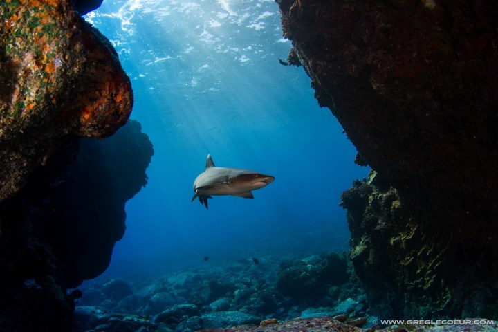 underwater view of a large rock