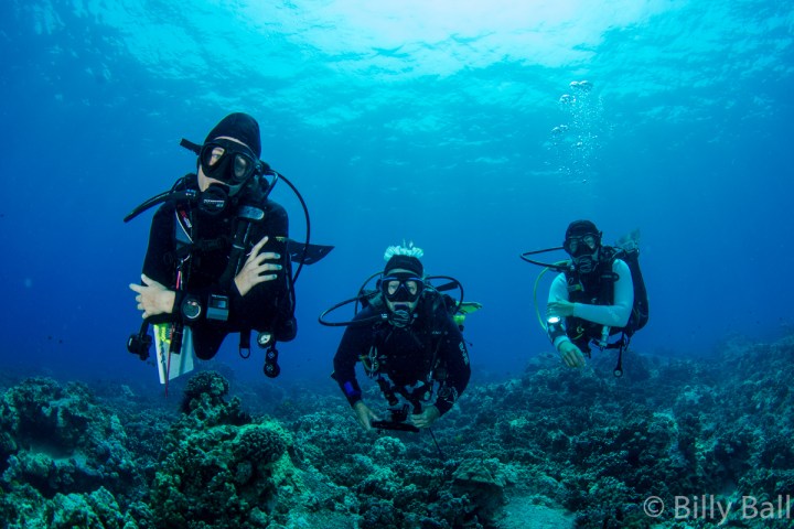 a group of people swimming in the water